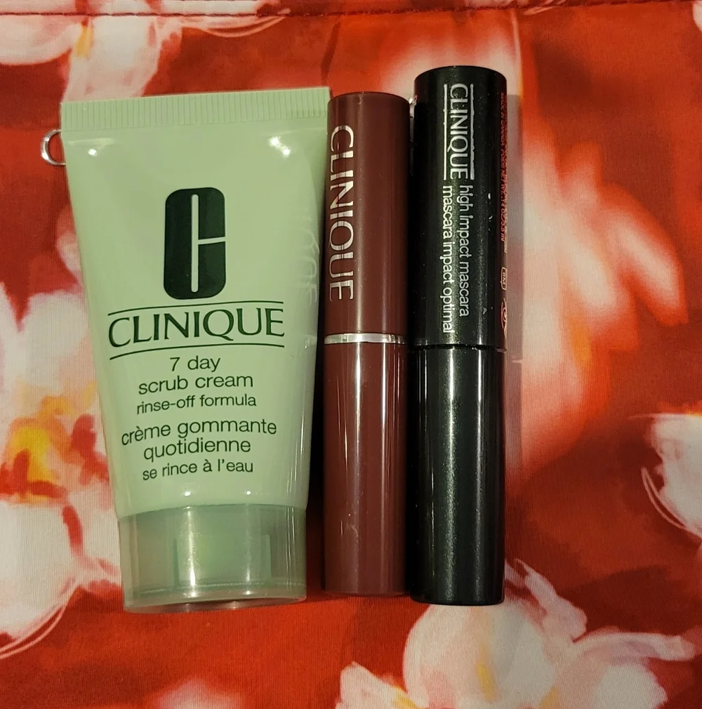 2 Clinique Jona Than Cohen Red Floral Makeup Bags & 3 Mini Clinique Products